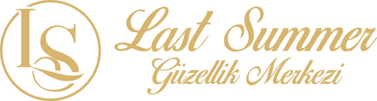 Last Summer Logo